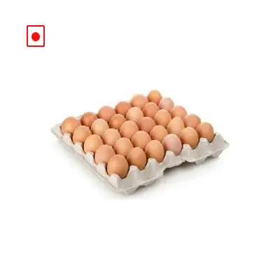 Egg-Brown (pack of 30)