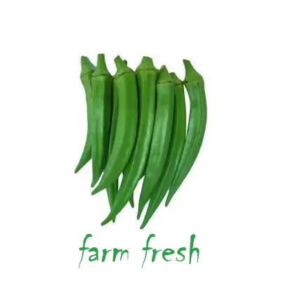 fresh Bhindi-Okra-ladyfinger