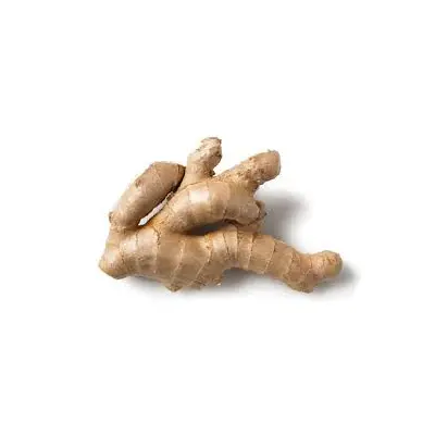 Ginger