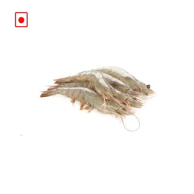 Prawns (White)