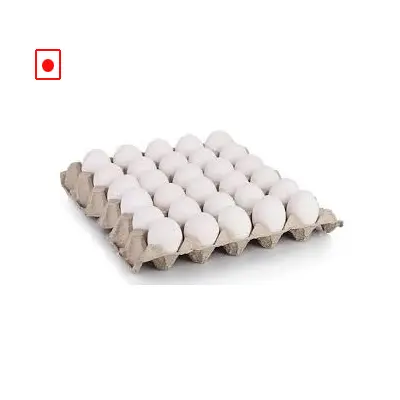 Egg-White (pack of 30)