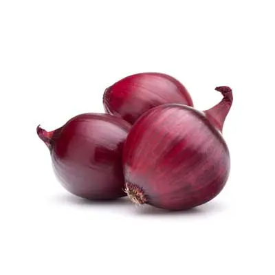 Onion